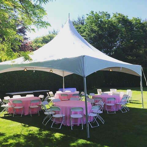 High peak tent with pink tablecloths and chairs for outdoor birthday party in Valrico FL